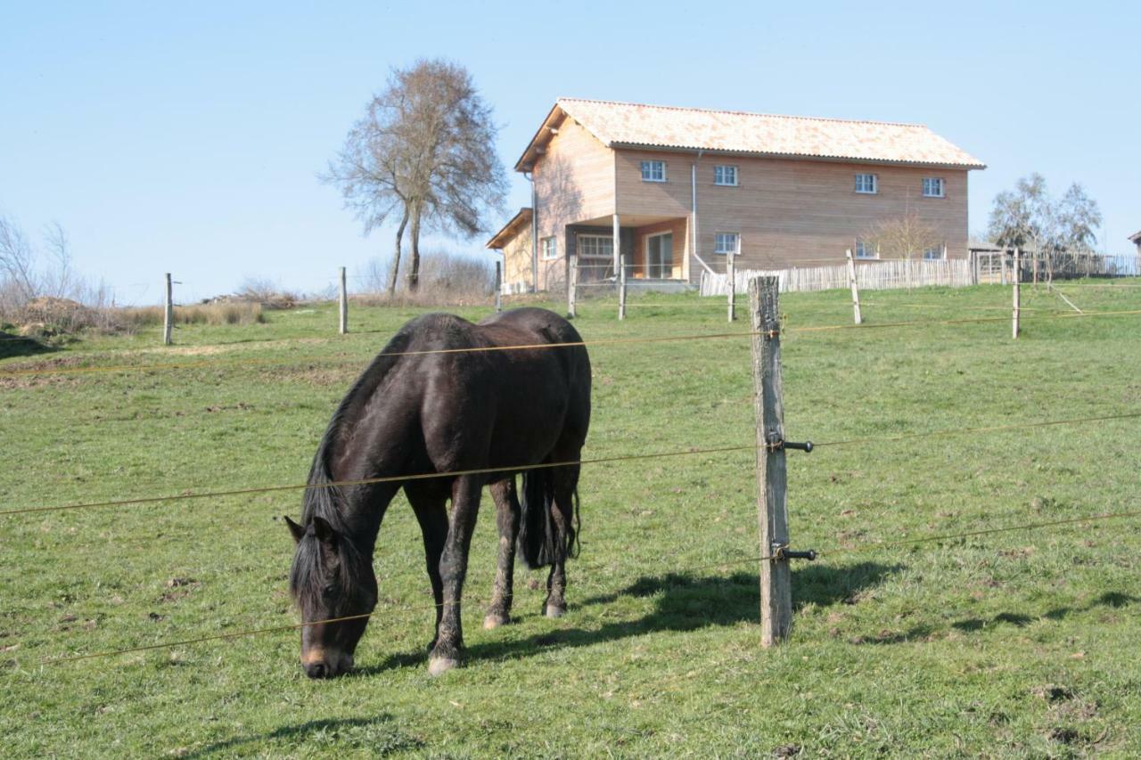 Le Petit Durbec Villa La Force  Exterior foto